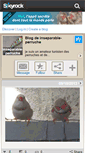 Mobile Screenshot of inseparable-perruche.skyrock.com