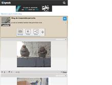 Tablet Screenshot of inseparable-perruche.skyrock.com