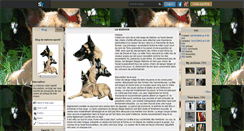 Desktop Screenshot of malinois-sportif.skyrock.com