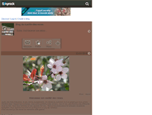Tablet Screenshot of cueillir-des-reves.skyrock.com
