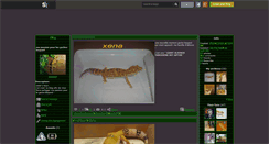 Desktop Screenshot of gecko59.skyrock.com
