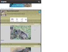 Tablet Screenshot of fallone-amstaff.skyrock.com