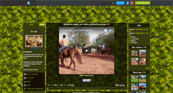 Desktop Screenshot of horseball17.skyrock.com