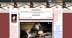 Desktop Screenshot of danse-pqt.skyrock.com
