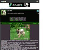 Tablet Screenshot of eurasier77.skyrock.com