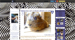 Desktop Screenshot of cochons-dindes-vs-aimez.skyrock.com
