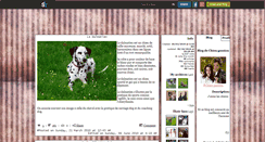 Desktop Screenshot of chien-passion.skyrock.com