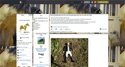 Desktop Screenshot of horse-breyer.skyrock.com