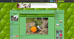 Desktop Screenshot of accessoire-schleich.skyrock.com