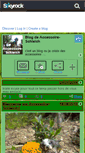 Mobile Screenshot of accessoire-schleich.skyrock.com