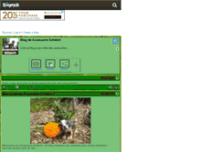 Tablet Screenshot of accessoire-schleich.skyrock.com