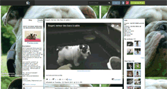 Desktop Screenshot of bulldog-anglais.skyrock.com