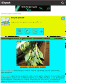Tablet Screenshot of gecko55.skyrock.com