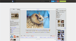 Desktop Screenshot of noiset-le-lapinou.skyrock.com