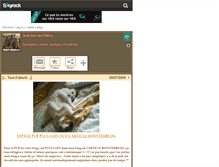 Tablet Screenshot of felin-mania.skyrock.com