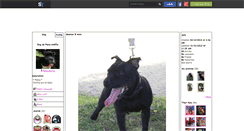 Desktop Screenshot of flana-staffie.skyrock.com