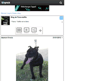 Tablet Screenshot of flana-staffie.skyrock.com