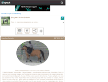 Tablet Screenshot of caballoxsabado.skyrock.com