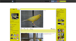 Desktop Screenshot of oiseaux49400.skyrock.com