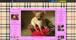 Desktop Screenshot of chihuahua-darling.skyrock.com