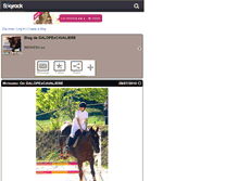 Tablet Screenshot of galopexcavaliere.skyrock.com