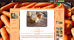 Desktop Screenshot of lylou-the-cochondinde.skyrock.com