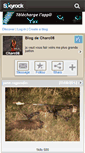 Mobile Screenshot of charc08.skyrock.com