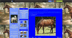 Desktop Screenshot of i-love-horse-66.skyrock.com