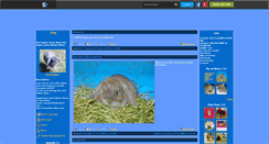 Desktop Screenshot of lesnainsbleus.skyrock.com