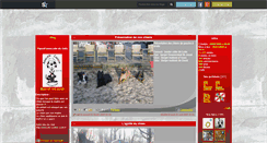 Desktop Screenshot of best-of-the-dogs.skyrock.com