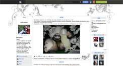 Desktop Screenshot of furet--passion.skyrock.com