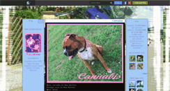 Desktop Screenshot of ma-vii-de-boxer.skyrock.com