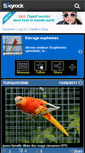 Mobile Screenshot of gummybird.skyrock.com