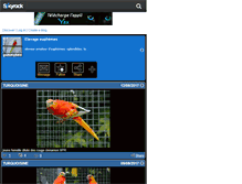 Tablet Screenshot of gummybird.skyrock.com