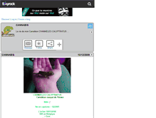 Tablet Screenshot of canna-caly.skyrock.com