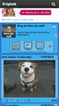 Mobile Screenshot of falco-am-staff.skyrock.com