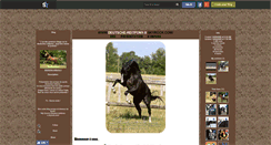 Desktop Screenshot of deutsches-reitpony-x.skyrock.com