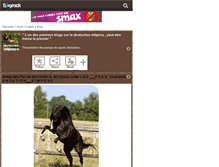 Tablet Screenshot of deutsches-reitpony-x.skyrock.com