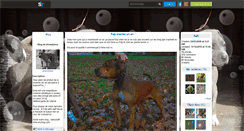 Desktop Screenshot of dinastylove.skyrock.com