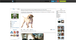 Desktop Screenshot of donne-chiens.skyrock.com