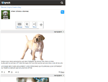 Tablet Screenshot of donne-chiens.skyrock.com