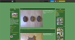 Desktop Screenshot of lepetitcollectionneur.skyrock.com