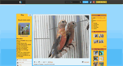 Desktop Screenshot of chardo-canari.skyrock.com