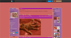 Desktop Screenshot of henna91.skyrock.com
