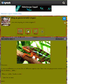 Tablet Screenshot of geckonemo62-rongeur.skyrock.com