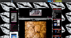 Desktop Screenshot of hamster700.skyrock.com