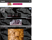 Tablet Screenshot of hamster700.skyrock.com