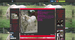 Desktop Screenshot of le-poney-eclair.skyrock.com