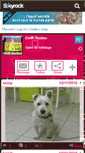 Mobile Screenshot of coiff-toutou.skyrock.com