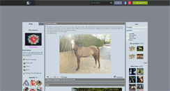 Desktop Screenshot of chinkara20.skyrock.com